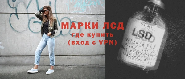 гидра Богородск