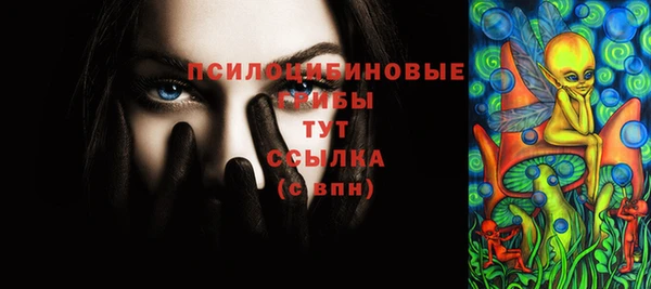 ПСИЛОЦИБИНОВЫЕ ГРИБЫ Богданович