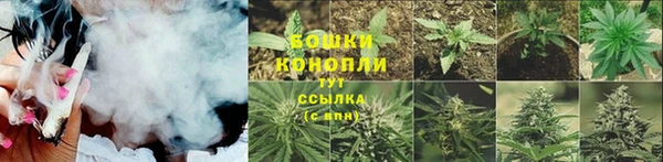 ПСИЛОЦИБИНОВЫЕ ГРИБЫ Богданович