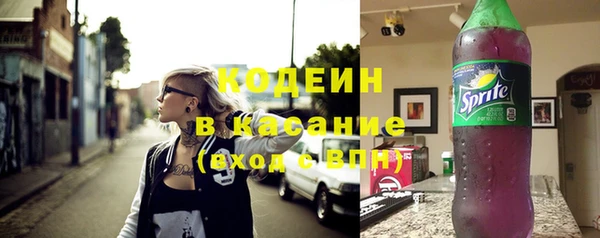 гидра Богородск