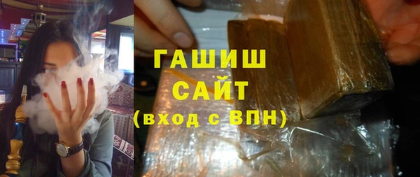гидра Богородск
