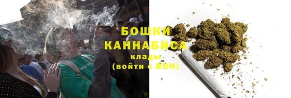 ПСИЛОЦИБИНОВЫЕ ГРИБЫ Богданович