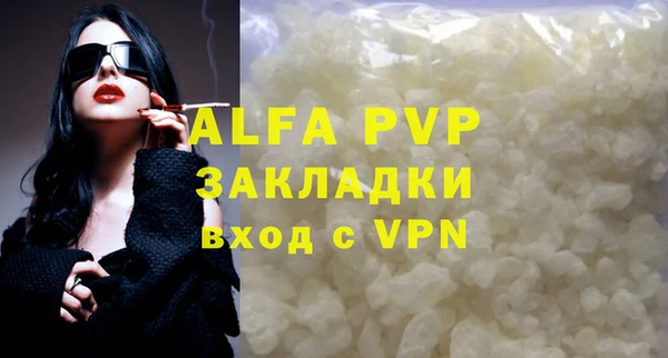ПСИЛОЦИБИНОВЫЕ ГРИБЫ Богданович