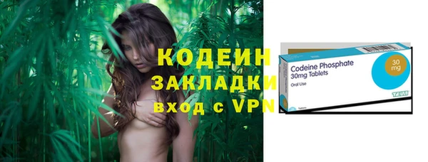 ПСИЛОЦИБИНОВЫЕ ГРИБЫ Богданович