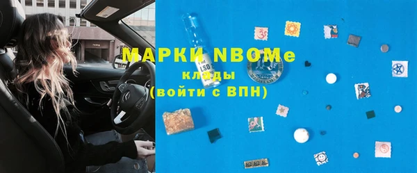 гидра Богородск