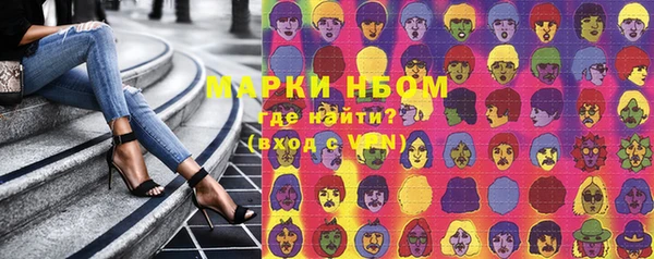 PSILOCYBIN Верхний Тагил