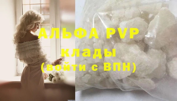 гидра Богородск