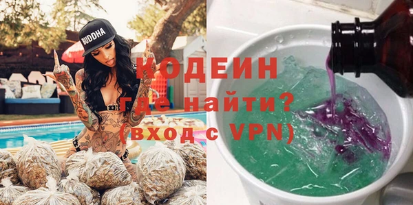 ПСИЛОЦИБИНОВЫЕ ГРИБЫ Богданович