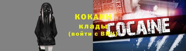 гидра Богородск