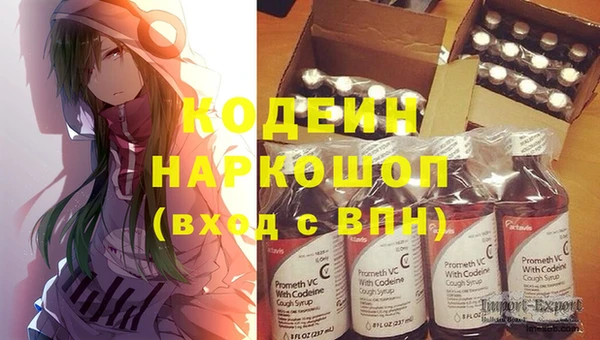 ПСИЛОЦИБИНОВЫЕ ГРИБЫ Богданович