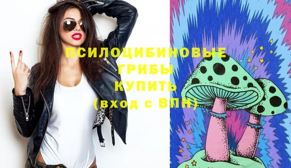 ПСИЛОЦИБИНОВЫЕ ГРИБЫ Богданович