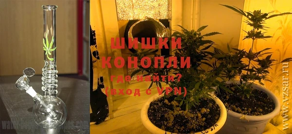 ПСИЛОЦИБИНОВЫЕ ГРИБЫ Богданович